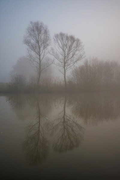 reflection by Bart Liesenborgs