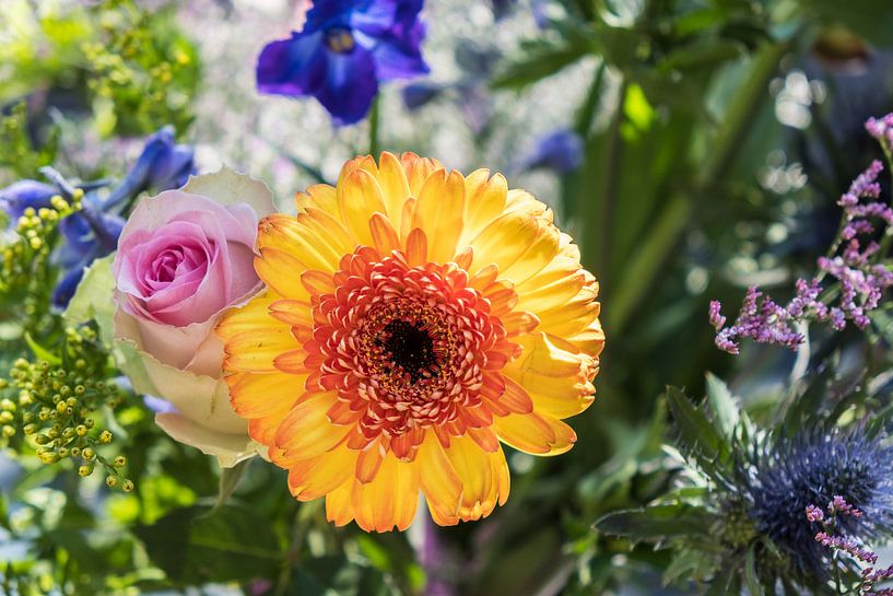 Spring flowers in a bouquet with orange, pink and purple colours by Idema Media