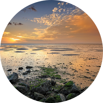 Het wad bij zonsopkomst van John Leeninga