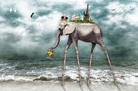 Strandwandeling over de wereld van Carina Dumais thumbnail
