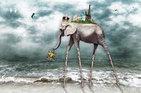 Strandwandeling over de wereld