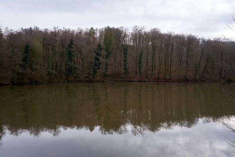 Quiet little lake in the middle of the forest under a grey sky by creativcontent