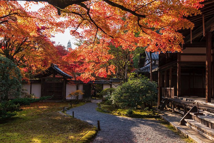 Kyoto by Hello Pompoyo