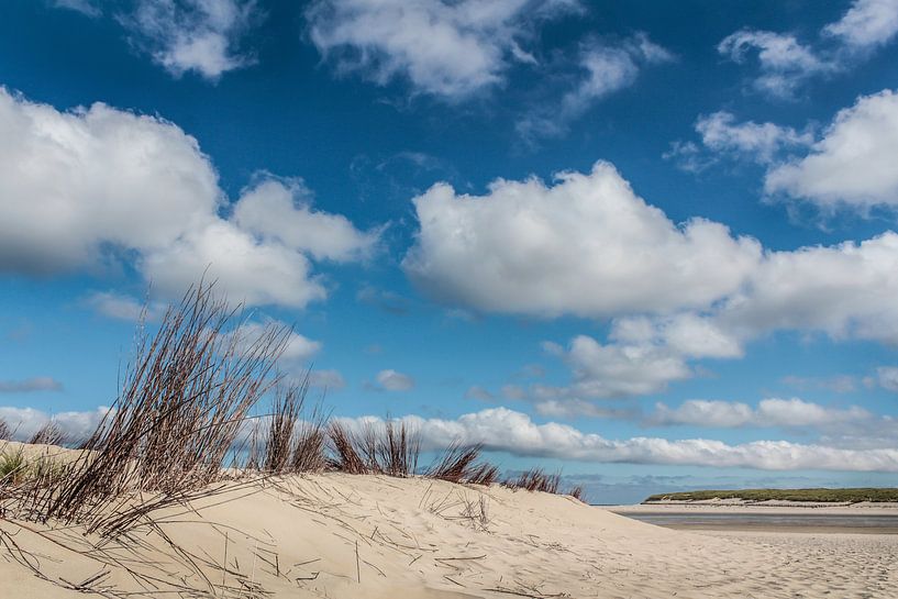 Texel by Diane Cruysberghs