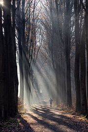 Jogging in the morning light by Bart Ceuppens