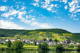 Au bord de la Moselle sur Photo by Chris