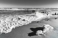 Winter an der Küste der Ostsee bei Kühlungsborn von Rico Ködder Miniaturansicht