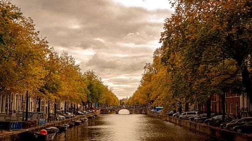 Golden hour Amsterdam canal