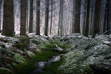 Snowy Creek van Kevin Garcia