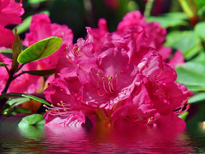 Couleurs des niveaux d'eau par Edgar Schermaul