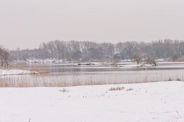 Winters landschap sur Carla Eekels