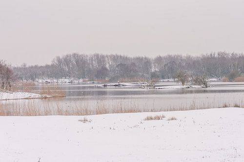 Winters landschap
