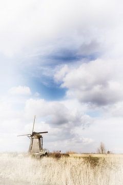 Kinderdijk by Yvonne Blokland