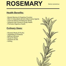 Rosmarin von Ratna Mutia Dewi