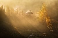 Église alpine dans le brouillard du matin