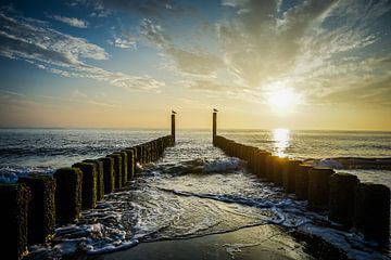 coucher de soleil avec des poteaux de