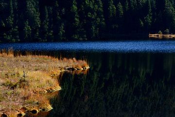 FORÊT BAVAROISE 3 sur Miroslav Ptacek