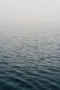 Water in the fog by Photolovers reisfotografie thumbnail