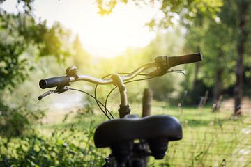 Fietsstuur in het zonlicht van Besa Art