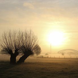 Weiland in de mistige Oosterbeekse Uiterwaarden. von Maarleveld Fotografie