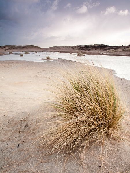 Winterse Duinen by David Hanlon
