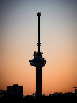 L'Euromast sur Jelte Lagendijk