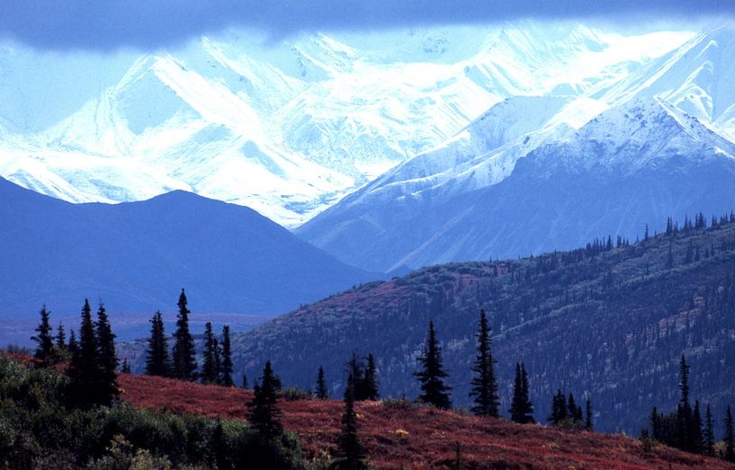 Alaska, Denali National Park by Paul van Gaalen, natuurfotograaf
