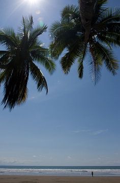 Tropisch verlaten strand en palmbomen