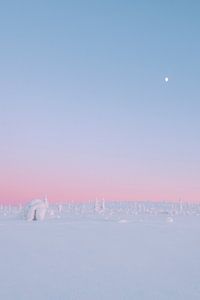 Pastellfarbener Sonnenuntergang im Schnee | Reisefotografie Druck | Saariselkä Lappland Finnland