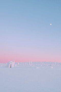 Pastel sunset in snow | travel photography print | Saariselkä Lapland Finland by Kimberley Jekel