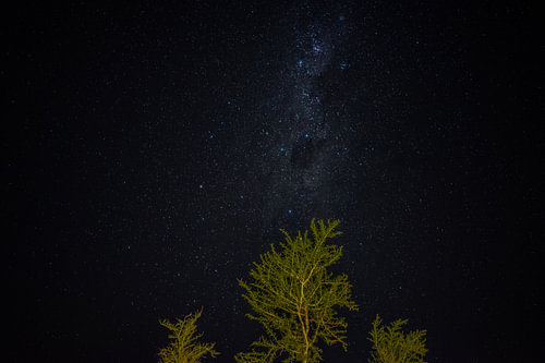Sternenhimmel mit Baum