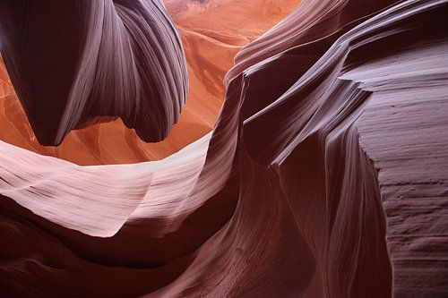 Les secrets de la nature I