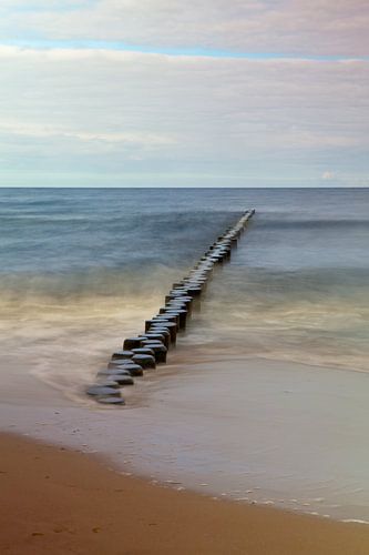 Baltic Sea - Buhne on the beach of Usedom