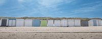 Beachfront cabins.