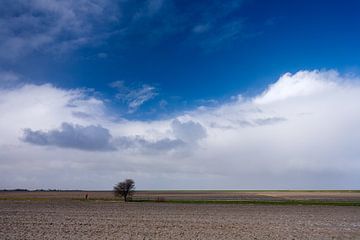 Le cycliste solitaire