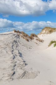 Sand dune on Amrum by Thomas Heitz