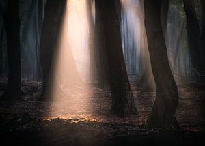Automne