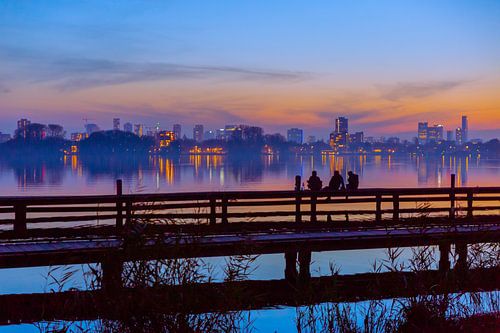 Sunset Skyline Rotterdam in Kralingsebos by Fons Simons