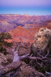 Belt of Venus at the Grand Canyon by Martin Podt