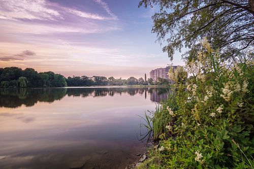 The Schiller Pond Wolfsburg at sunset