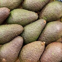 avocado, fruit, markt, groen