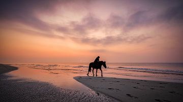 horse riding on the beach by eric van der eijk