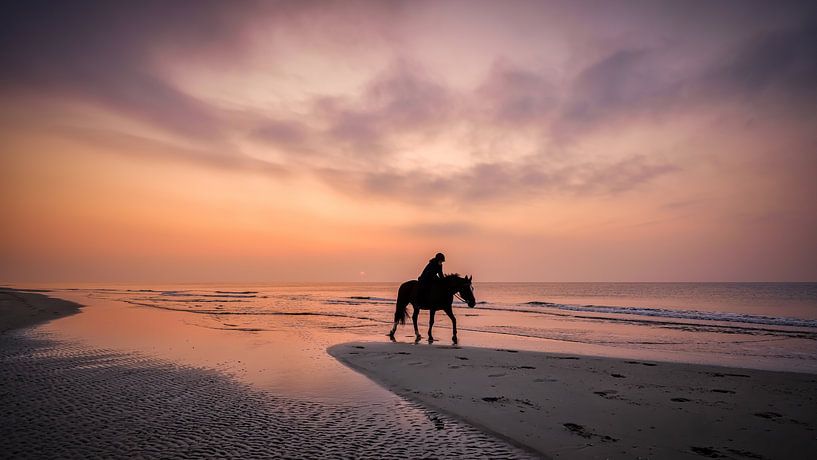 paardrijden op het strand van eric van der eijk
