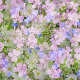 Mix aus Blumen in romantischen Pastellfarben von Lisette Rijkers