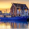Goldenes Sonnenlicht. von Justin Sinner Pictures ( Fotograaf op Texel)