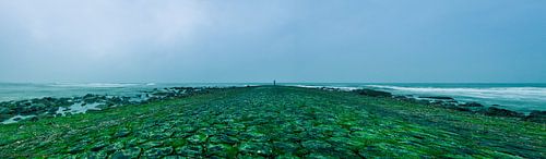 de groene weg over het strand