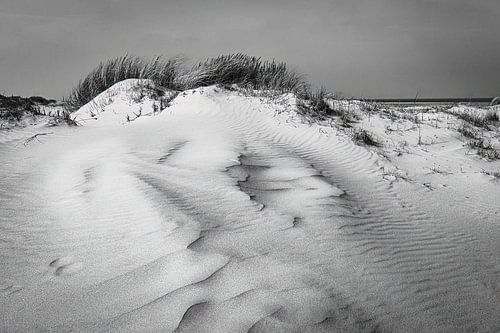 Terschellinger Dünen von Jan Linskens