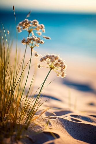 Beach Impressions No 3