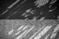 Shadow Two Tone
