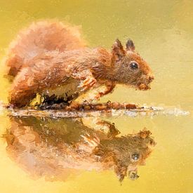 Écureuil au bord de l'eau avec reflet sur Gianni Argese
